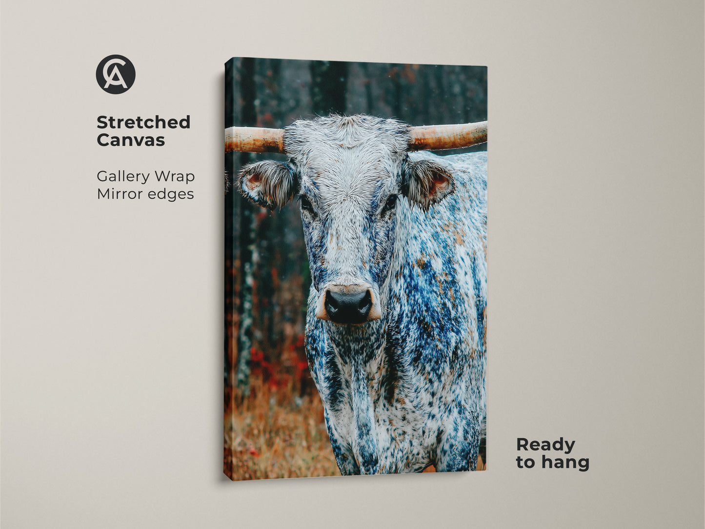 Stretched canvas print featuring a Longhorn. The gallery wrap has mirrored edges. This piece is ready to hang. The animal's distinctive markings are highlighted. A great addition to any art collection.