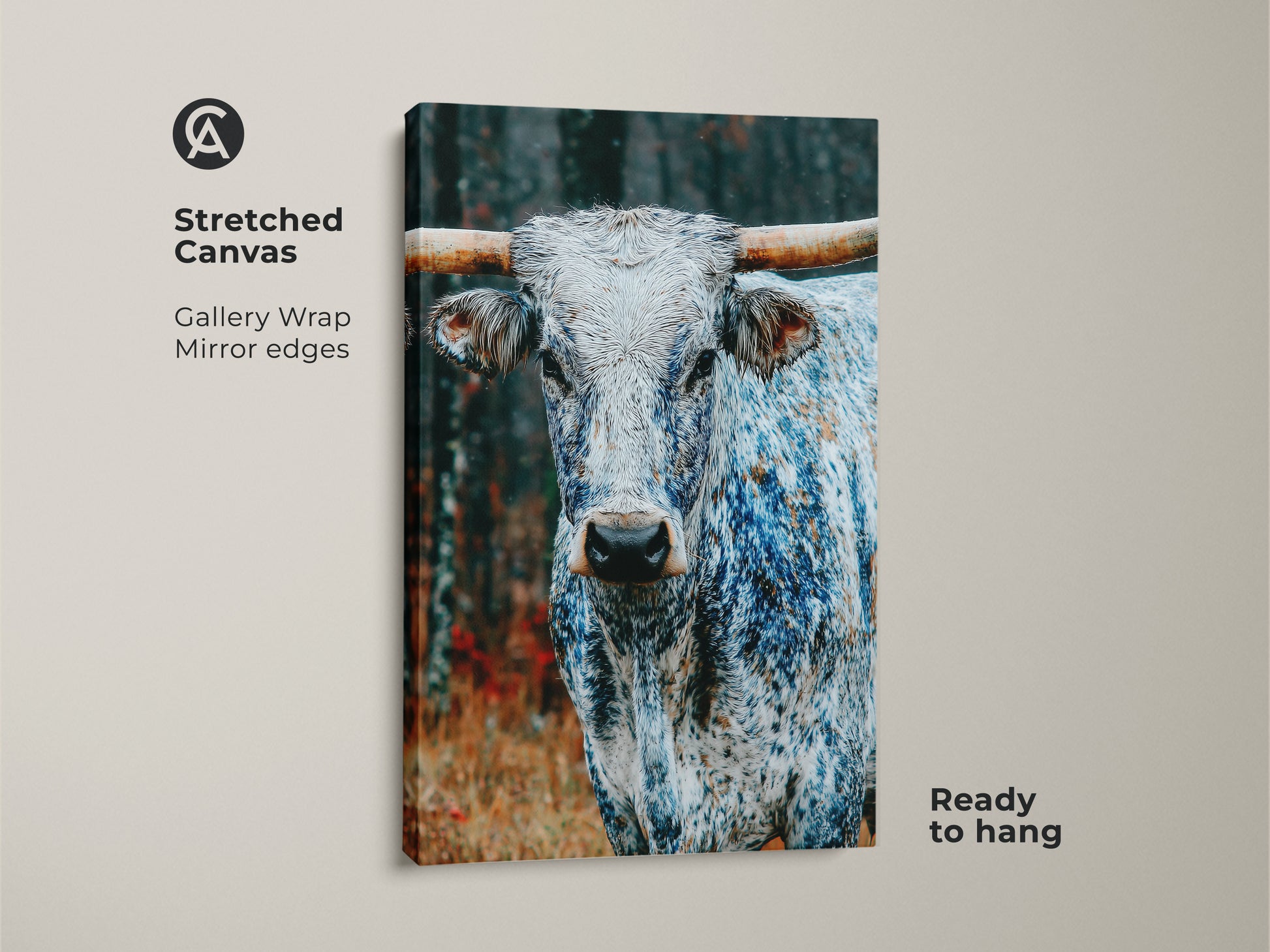 Stretched canvas print featuring a Longhorn. The gallery wrap has mirrored edges. This piece is ready to hang. The animal's distinctive markings are highlighted. A great addition to any art collection.