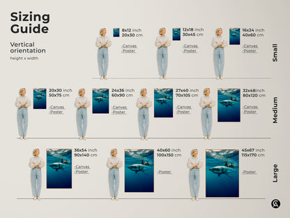 Sizing guide for Underwater Great White Shark art prints. Vertical orientation options in small medium and large sizes. Available as canvas or poster prints. Find the perfect fit for your space with dimensions from 8x12 inches to 45x67 inches.
