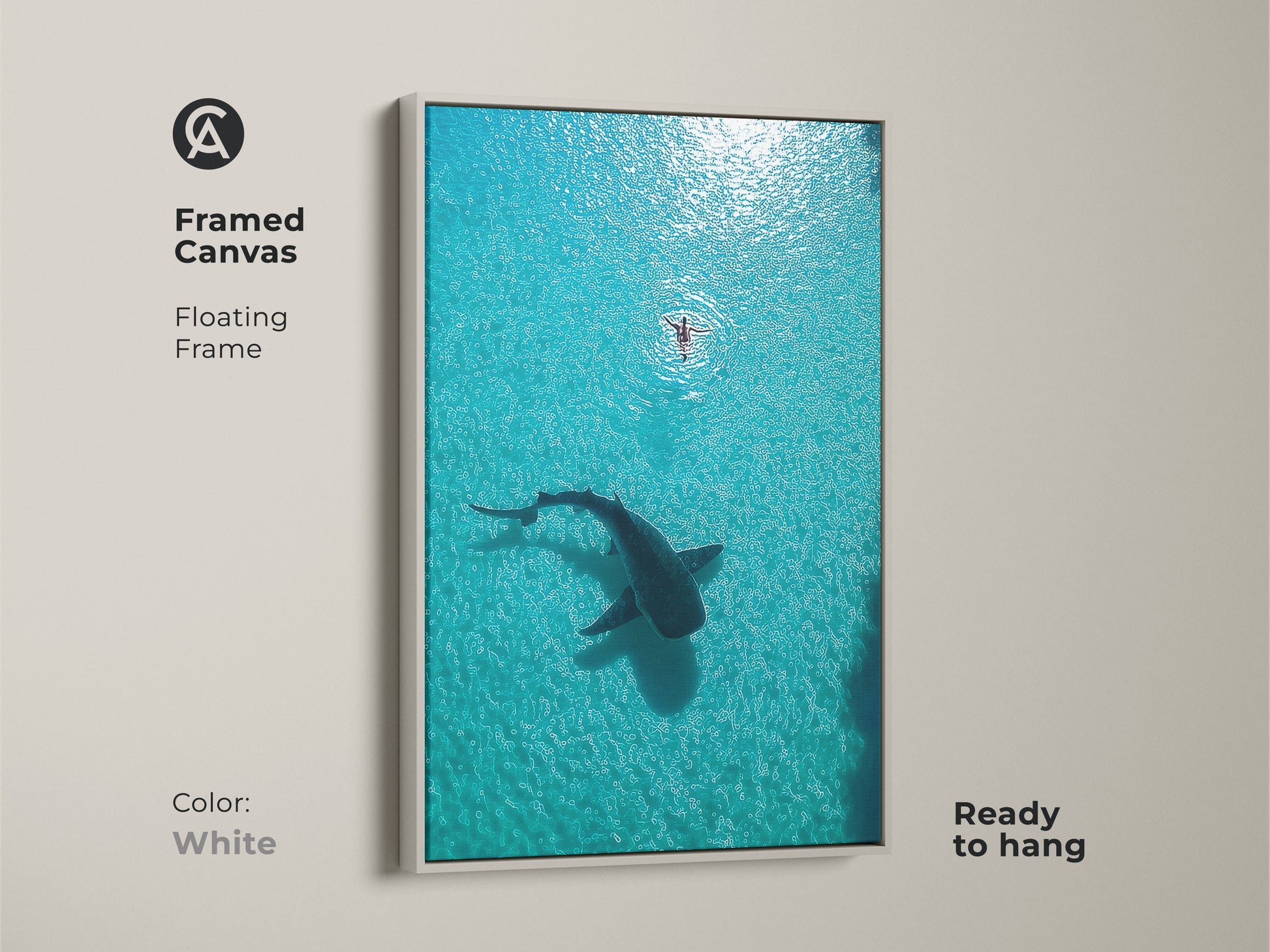 Framed Canvas with a white floating frame displaying an aerial view of a whale shark and swimmer. This minimalist ocean decor brings a touch of coastal charm to your home. Ready to hang. A serene ocean scene in turquoise waters.