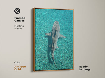 Framed canvas featuring a shark swimming in turquoise ocean waters ready to hang. The antique gold floating frame enhances this teal blue artwork. Ideal coastal wall decor for marine biology art enthusiasts. Perfect scuba diver gift idea for nature lovers. This oceanic wildlife decor complements coastal and wildlife themes.
