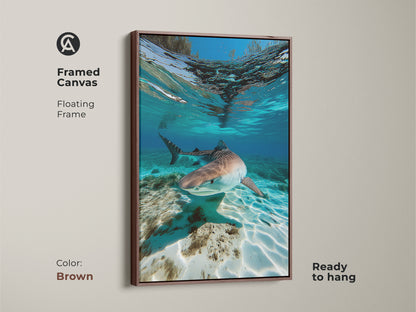 Framed canvas art of an underwater Tiger Shark in a brown floating frame. This wildlife artwork features a shark swimming in aqua turquoise ocean waters. Ready to hang this coastal art is perfect for a beach house or as a gift for an ocean enthusiast.