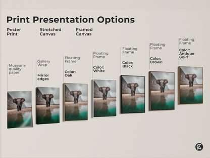 Print presentation options include poster print stretched canvas and framed canvas. The artwork features a photorealistic elephant in a savanna landscape. Choose from gallery wrap mirror edges or floating frames in various colors. Perfect for eclectic home decor and animal lovers. Add natural history charm to any room.