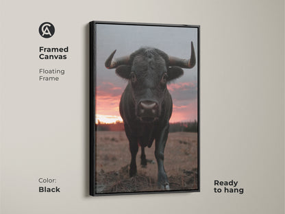 Framed canvas of a black bull with a floating frame. Ready to hang in black color. This photorealistic animal print is a perfect gift for him. Ideal for ranch house decor and animal photography art.