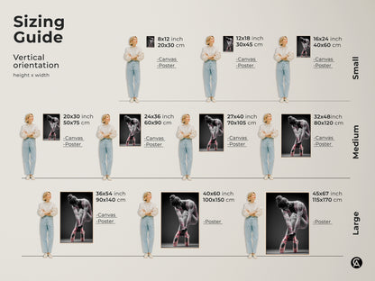 Sizing guide for vertical ballerina artwork. Available in small medium and large sizes. Options include canvas and poster prints. Find the perfect size to fit your wall. Decorate your home with art.