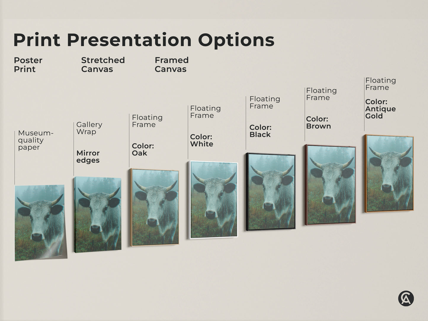 Explore cow artwork presentation options. This includes poster prints stretched canvas prints and framed canvas prints in various colors. Museum-quality paper and mirror edges are available.