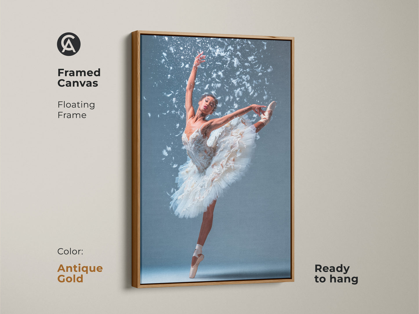 Framed canvas art featuring a ballerina. She is wearing a white tutu. She is en pointe with one leg extended. White feathers accent the artwork. The floating frame is antique gold. This beautiful ballet art is ready to hang.