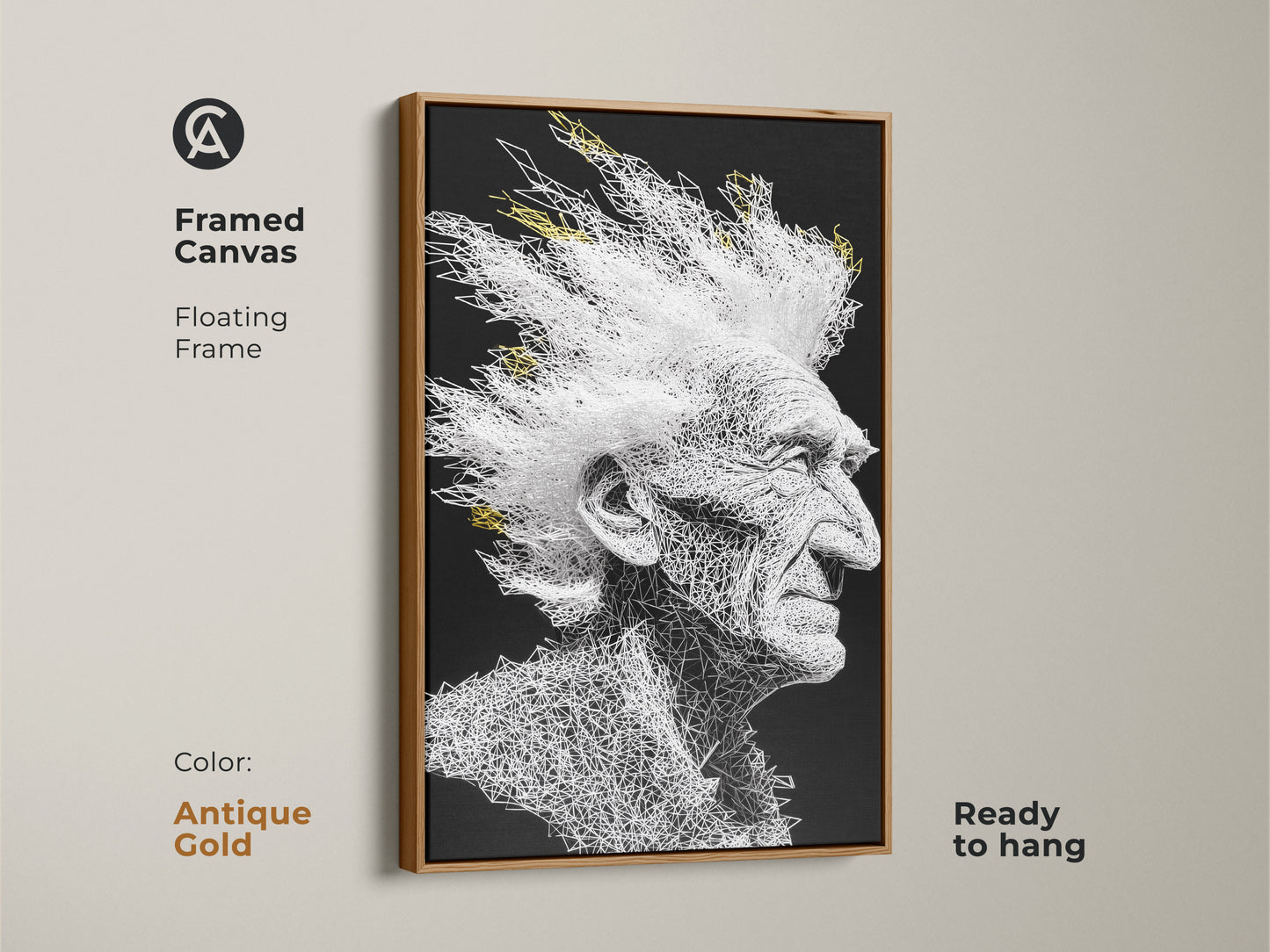 Framed canvas art featuring an elderly man with a white mohawk. The artwork is made of white lines on a black background. The frame is antique gold and floating. Ready to hang in any room. A modern art piece.