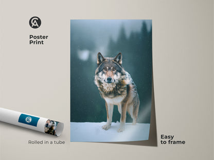 Easy-to-frame wolf poster print. This wildlife forest scene print arrives rolled in a tube. It's perfect for adding rustic decor to your space. The photorealistic wolf portrait captures the essence of nature. A great gift for animal and outdoor adventure art collectors.