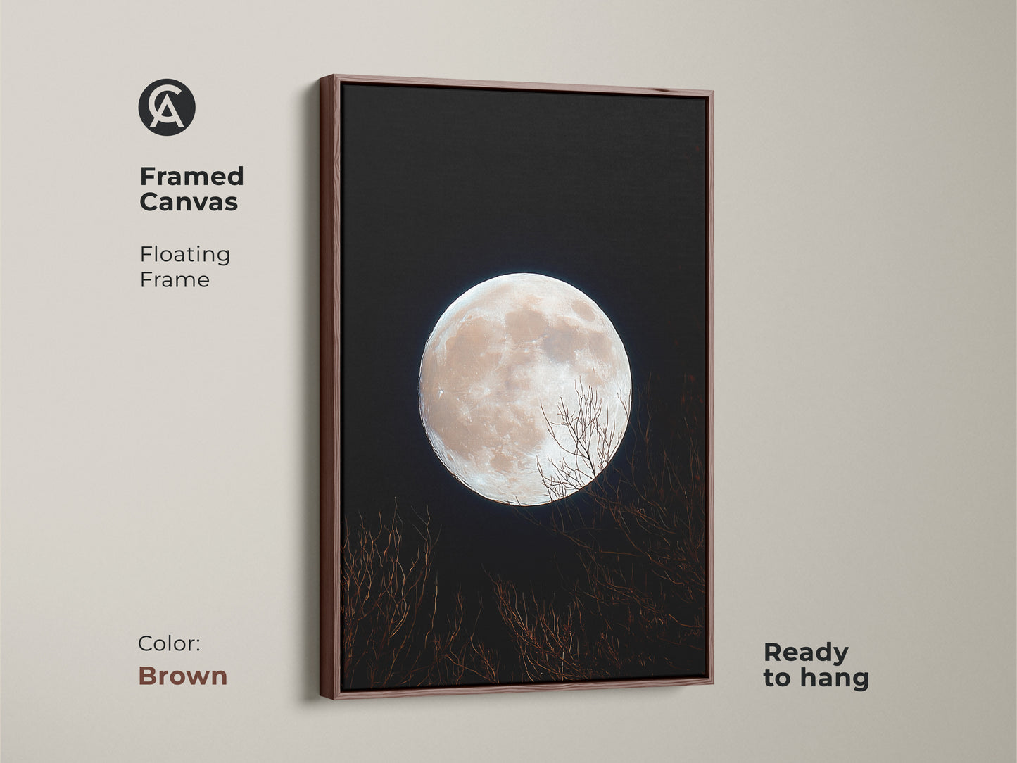 Framed canvas art featuring a full moon. The floating frame is brown. This moon art is ready to hang. The full moon shines against a dark background. Bare branches add a touch of nature.