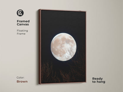Framed canvas art featuring a full moon. The floating frame is brown. This moon art is ready to hang. The full moon shines against a dark background. Bare branches add a touch of nature.