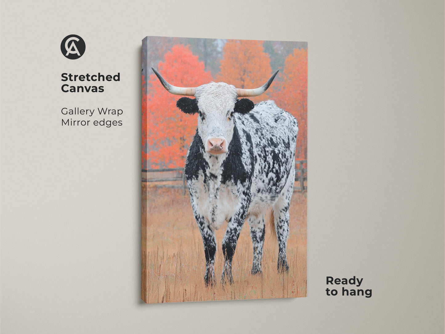 Elevate your space with Longhorn Cow canvas art. This stretched canvas features gallery wrapped edges. The art shows a black and white speckled Longhorn in a field with autumn trees. It is ready to hang
