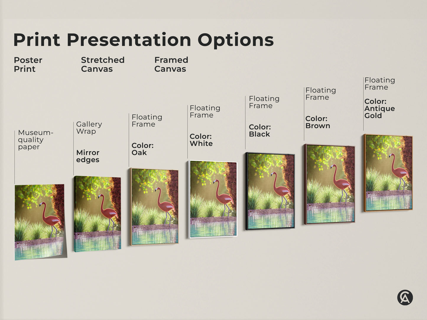 Explore print presentation options for coastal flamingo wall art. Choose from poster prints stretched canvases and framed canvases. Each option highlights the pink bird nature photography. Perfect for adding wildlife artwork to your bedroom. Find the ideal style to complement your coastal decor.
