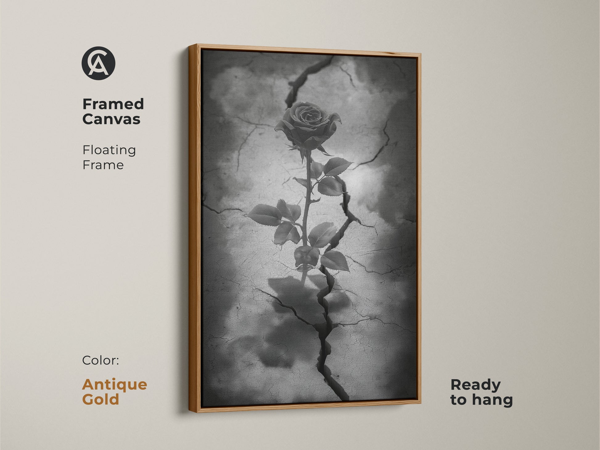 Antique gold framed canvas featuring gothic rose artwork. The floating frame accentuates dark floral artwork with a rose from cracked earth. This surreal botanical art uses black white and gray tones. Ready to hang this piece enhances gothic decor. It's symbolic rose art for eclectic home decor.