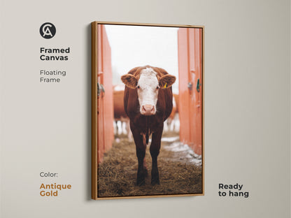Framed canvas displaying farmhouse cow artwork with a floating antique gold frame. Ready-to-hang brown and white farm animal artwork brings rustic elegance. Its great for country homes.