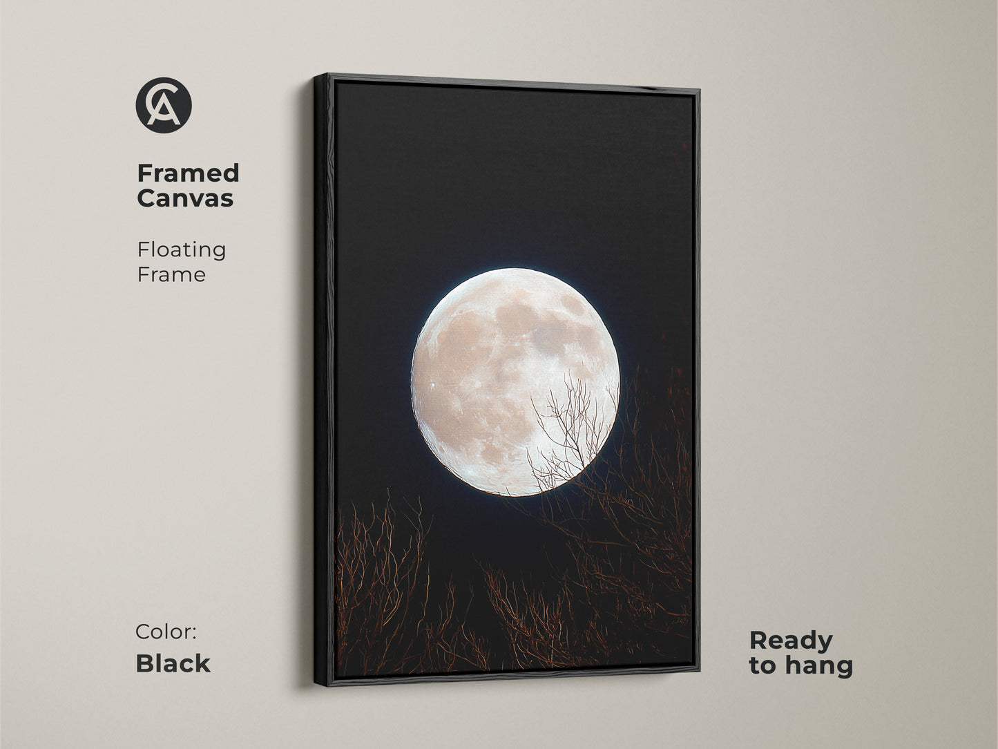 Framed canvas art featuring a full moon. The floating frame is black. This moon art is ready to hang. A pale full moon illuminates the night sky. Silhouetted branches create a peaceful scene.