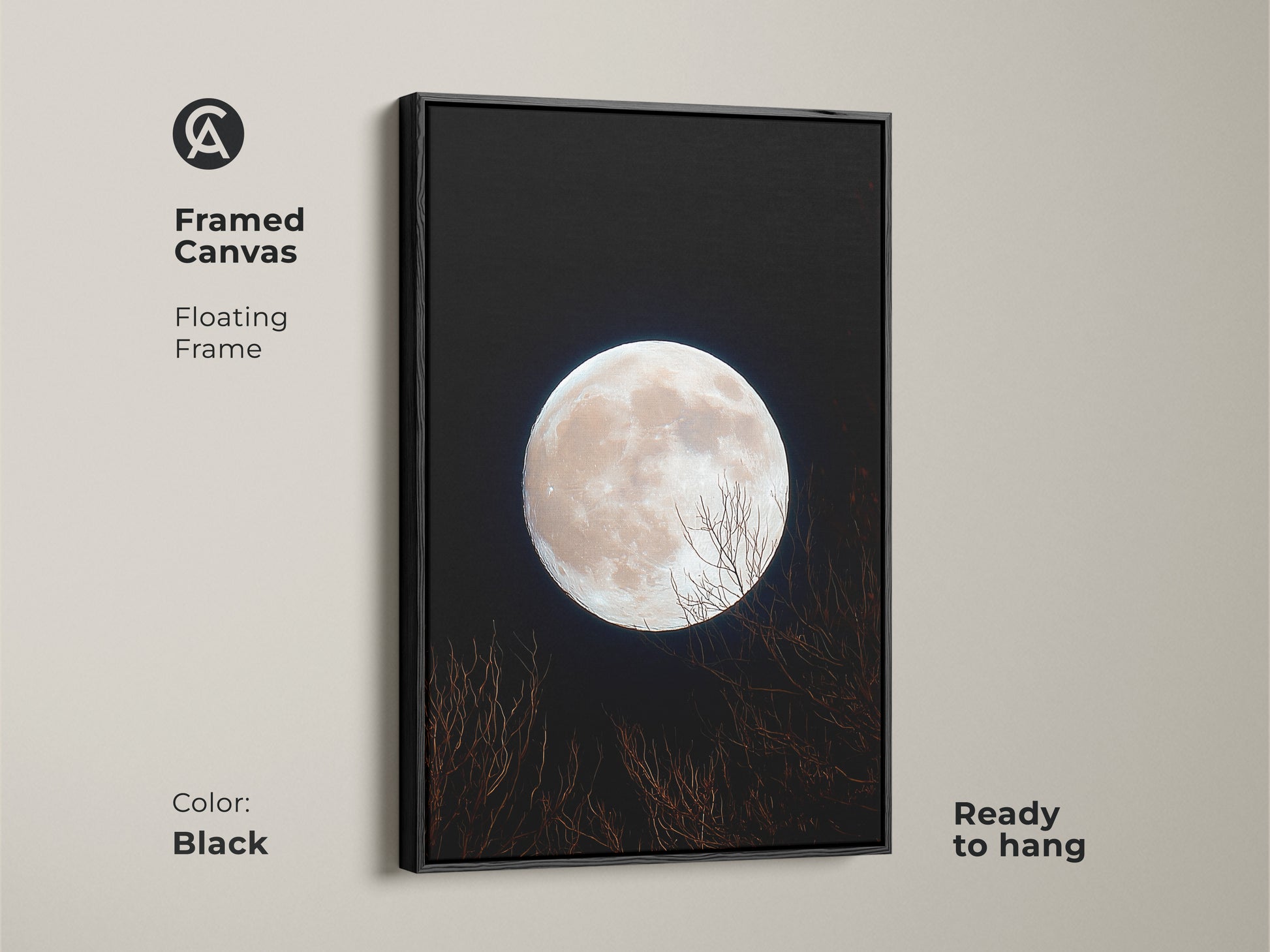 Framed canvas art featuring a full moon. The floating frame is black. This moon art is ready to hang. A pale full moon illuminates the night sky. Silhouetted branches create a peaceful scene.