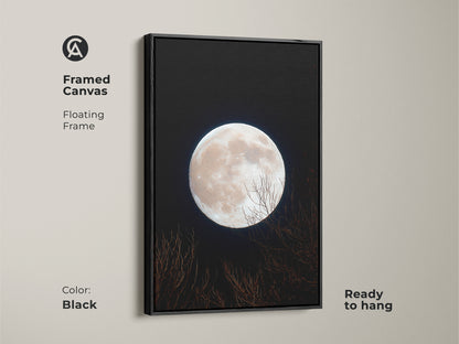 Framed canvas art featuring a full moon. The floating frame is black. This moon art is ready to hang. A pale full moon illuminates the night sky. Silhouetted branches create a peaceful scene.