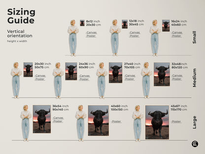 Sizing guide for vertical black bull art prints. Canvas and poster options are available. Small medium and large sizes are displayed with a person for scale. Perfect animal photography art.