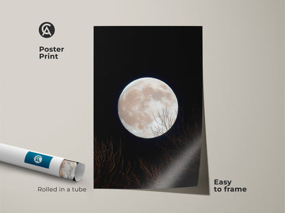 A rolled poster print featuring a full moon. The moon artwork is easy to frame. This poster is rolled in a protective tube. The bright moon contrasts with the dark night. Bare branches add a natural element.