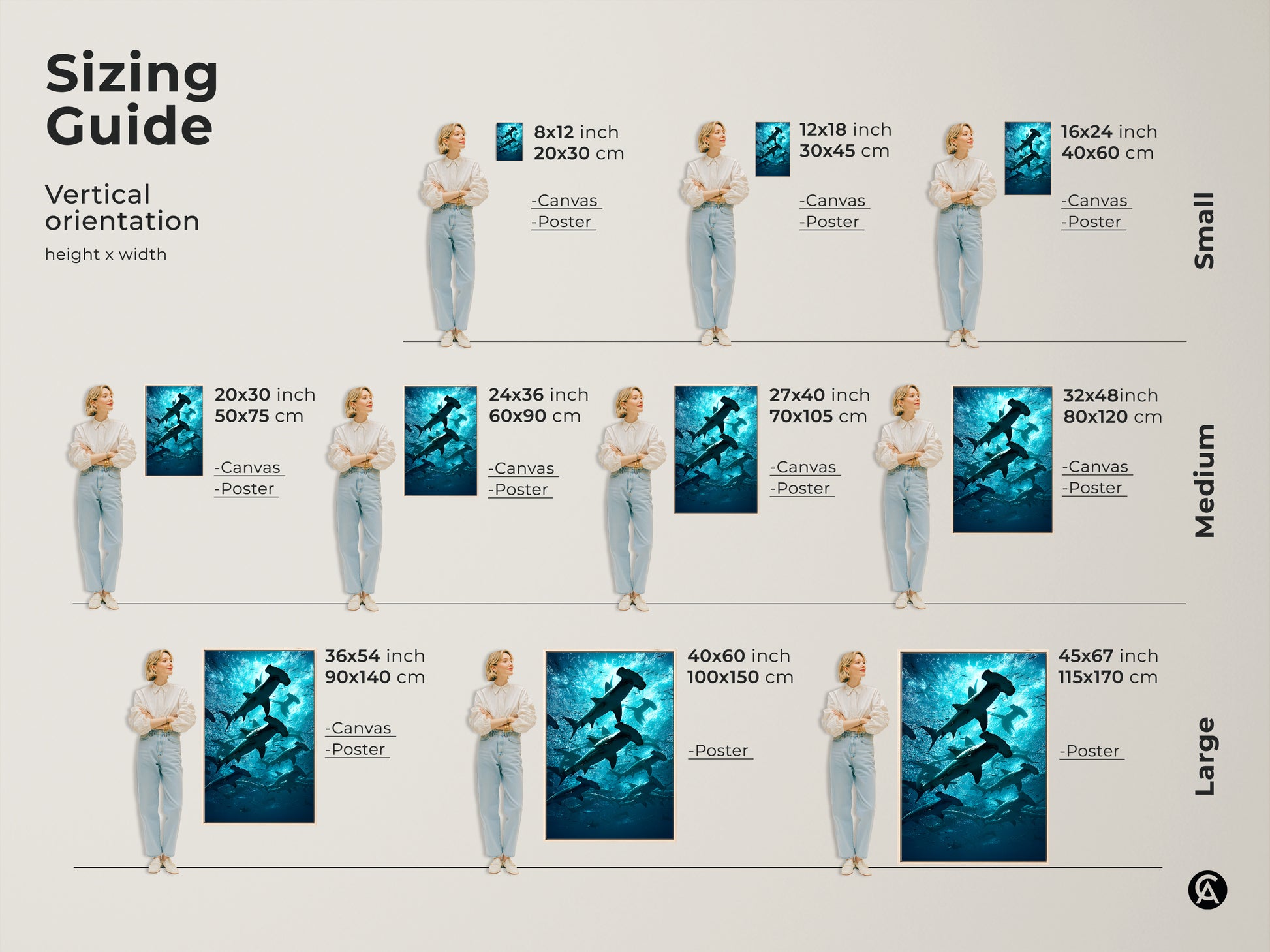 Sizing guide for hammerhead shark art. See the vertical orientation height and width for canvas and poster prints. Visualize small medium and large sizes to find the perfect fit for your space.