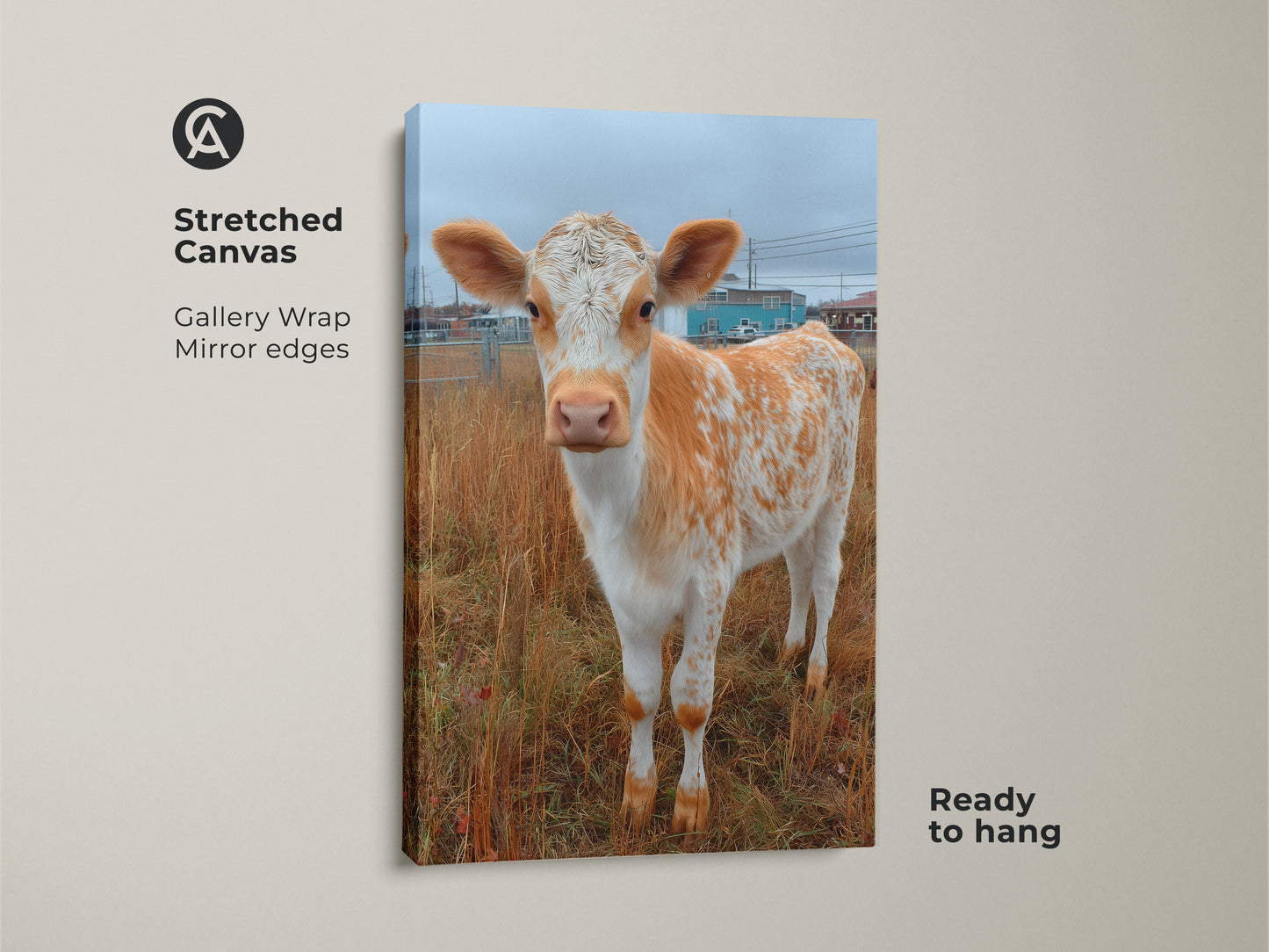Gallery wrapped stretched canvas print of a Holstein calf. This unique artwork features mirror edges. The canvas art is ready to hang. Purchase this cute baby cow art for your home decor.