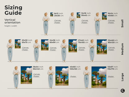 Sizing guide for realistic baobab trees canvas and poster prints. Vertical orientation with height and width dimensions in inches and centimeters. Small medium and large sizes available. Find the perfect fit for your boho home decor. Bring African nature landscape into your residential wall decor.
