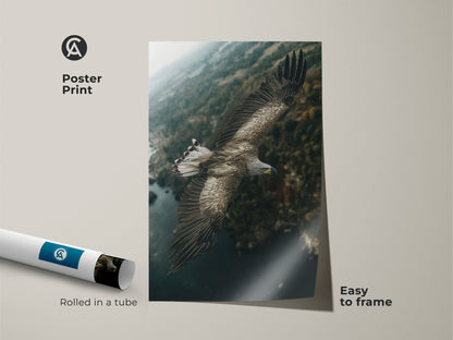 Poster print of an eagle flying over a deep teal forest landscape. This wildlife art is easy to frame and brings nature indoors. Perfect as a birdwatcher gift idea. The rustic earthy tones enhance any space. This avian artwork is a nature lover's dream.