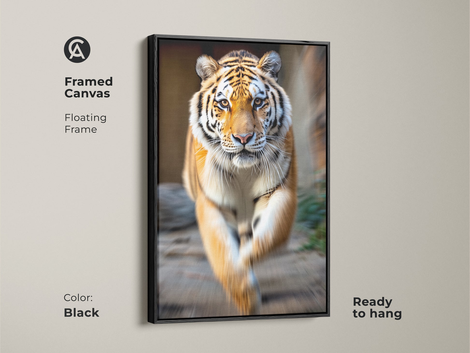 Black framed canvas featuring a photorealistic tiger. The floating frame enhances the orange black jungle animal artwork. Ready to hang for modern home decor.