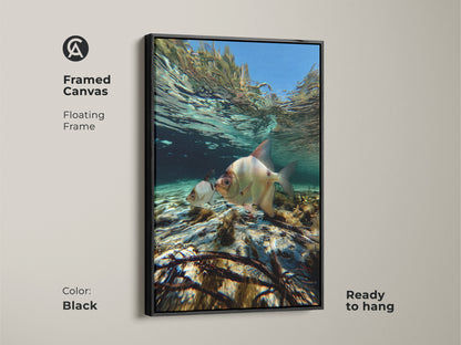 Framed canvas floating frame in black showcasing underwater fish. Coastal ocean canvas print is ready to hang. Features two fish swimming in clear turquoise water. Marine life wall decor for a modern coastal aesthetic.