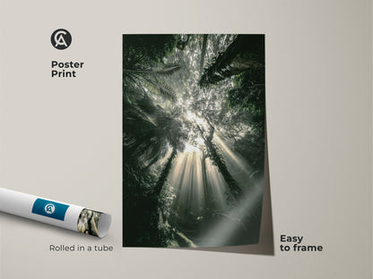 Poster print of an emerald forest wall artwork. The sunbeam tropical foliage canvas is easy to frame. Rolled in a tube for protection. Displaying deep green nature art print. Perfect for any room.