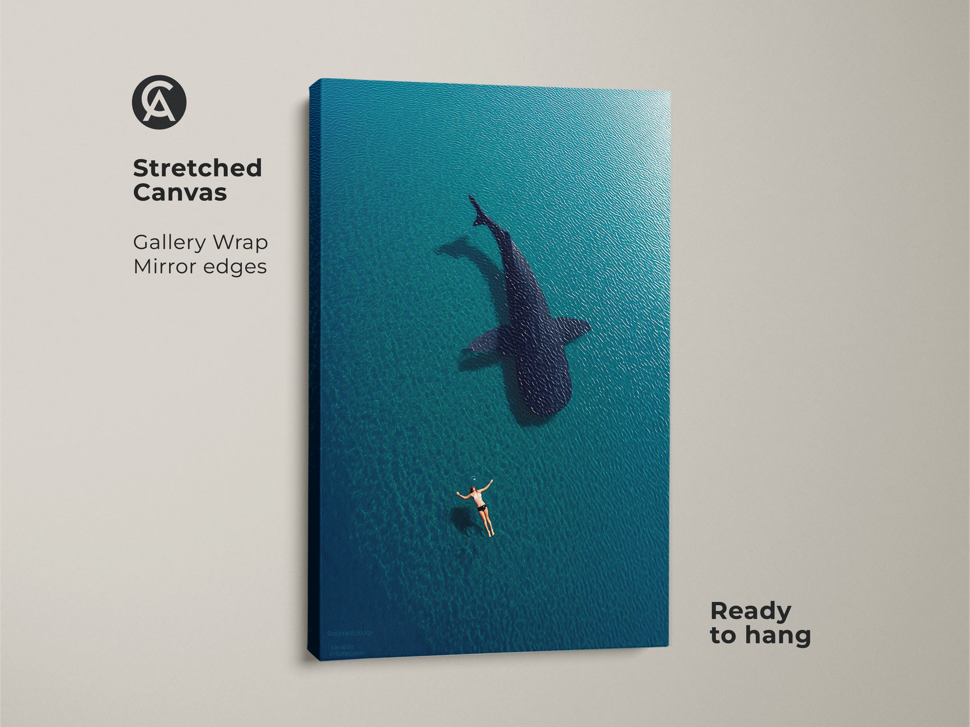 Stretched canvas featuring aerial ocean art of a swimmer and whale shark. Ready to hang this gallery-wrapped canvas adds coastal charm to your home. The deep blue turquoise tones create a calming underwater scene perfect for any beach house.