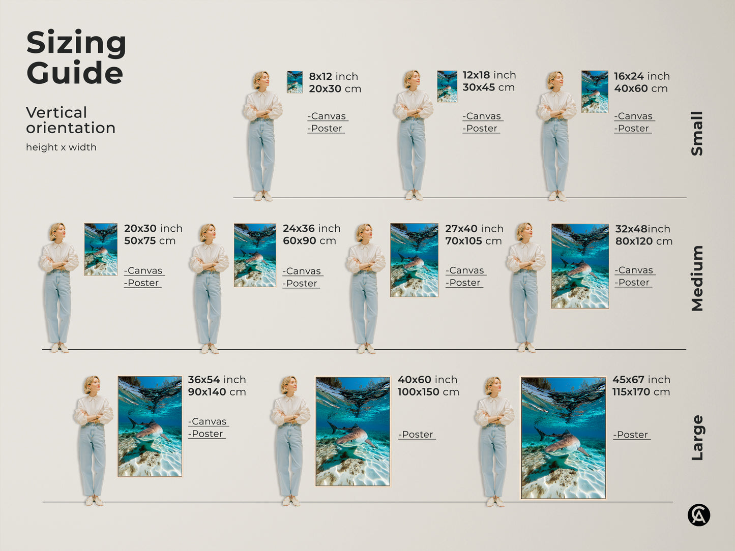 Sizing guide for the underwater Tiger Shark canvas and poster art. Vertical orientation shown with various height x width options. Visualize small medium and large sizes for ideal placement in any room. Perfect for coastal wildlife artwork enthusiasts.