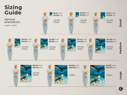 Sizing guide for the underwater Tiger Shark canvas and poster art. Vertical orientation shown with various height x width options. Visualize small medium and large sizes for ideal placement in any room. Perfect for coastal wildlife artwork enthusiasts.