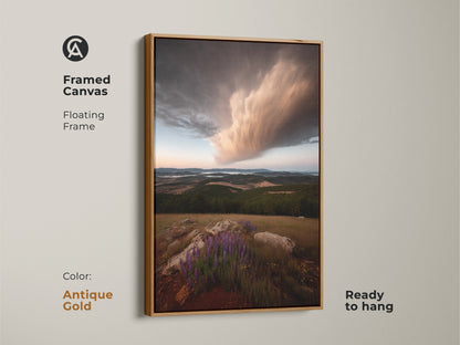 Framed canvas print of a wildflower landscape with a dramatic storm cloud. The floating antique gold frame adds a touch of elegance. Enhance your home with this earthy tone wall art. Ready to hang.