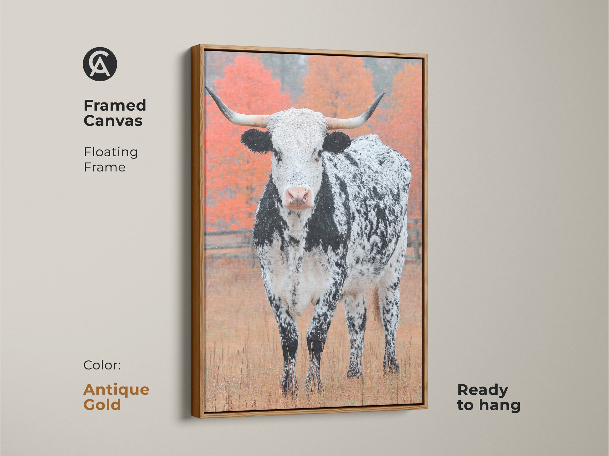 Enhance your decor with framed Longhorn Cow art. The floating frame is antique gold. The art features a black and white speckled Longhorn in a field. Autumn trees provide a backdrop. It is ready to hang