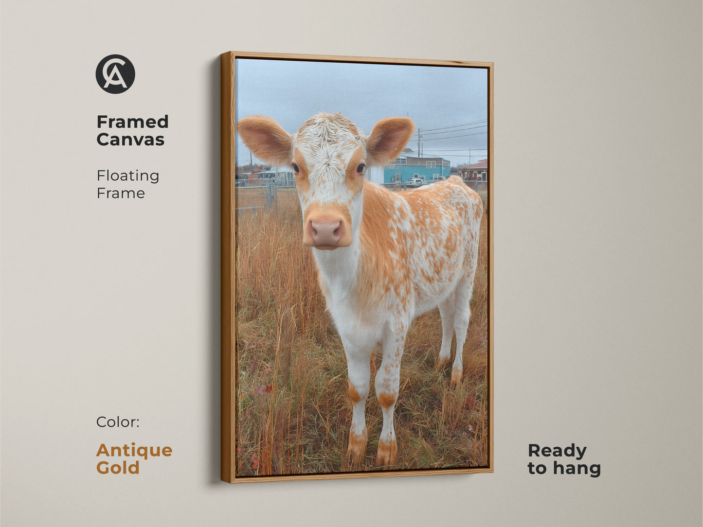 Framed canvas art featuring a Holstein calf. The artwork has a floating antique gold frame. Add a rustic touch to your decor with this print. Shop ready-to-hang animal art for your home today.