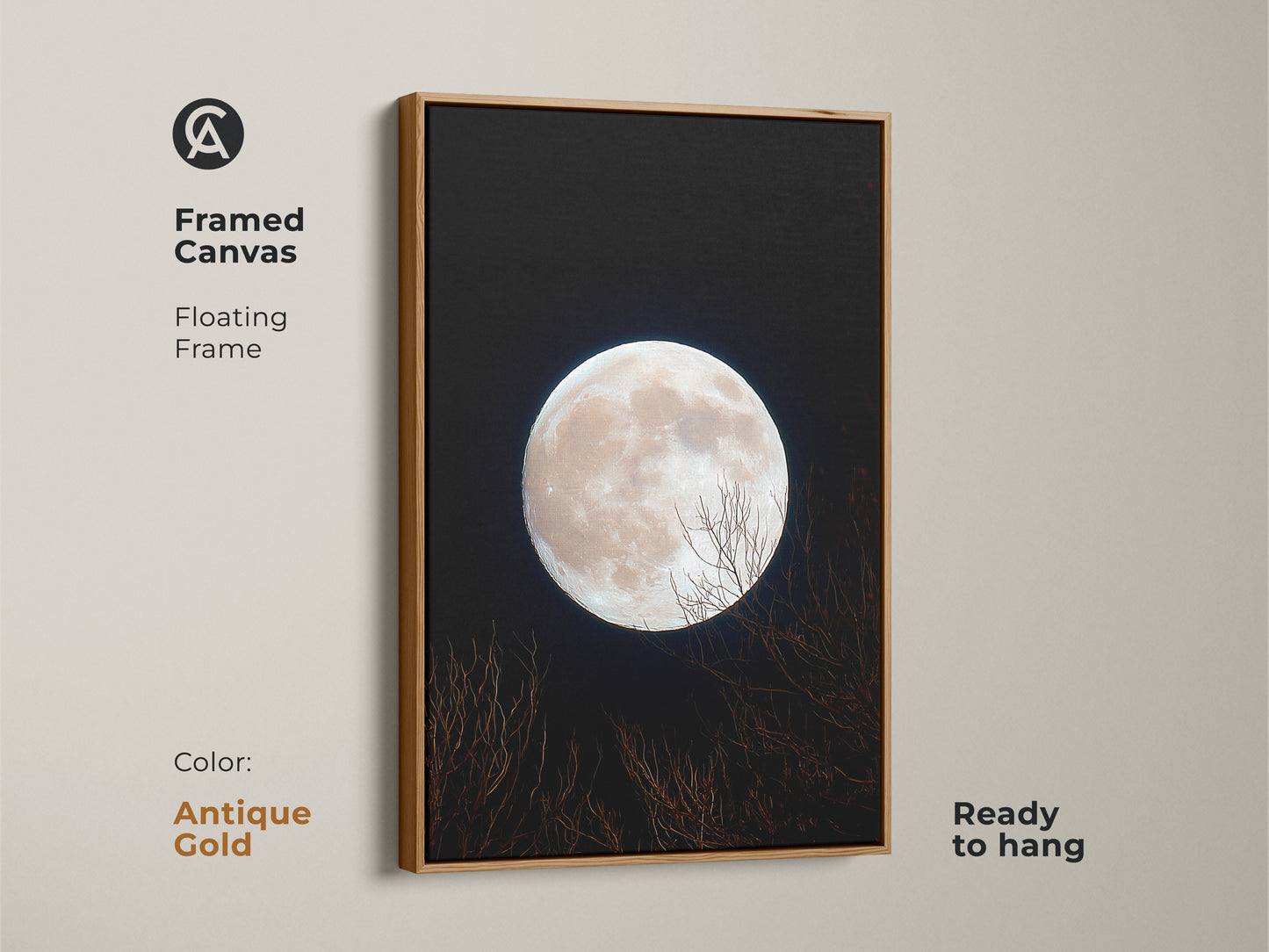 Framed canvas art featuring a full moon. The floating frame is antique gold. This moon art is ready to hang. The bright moon dominates the dark sky. Bare branches create a serene composition.