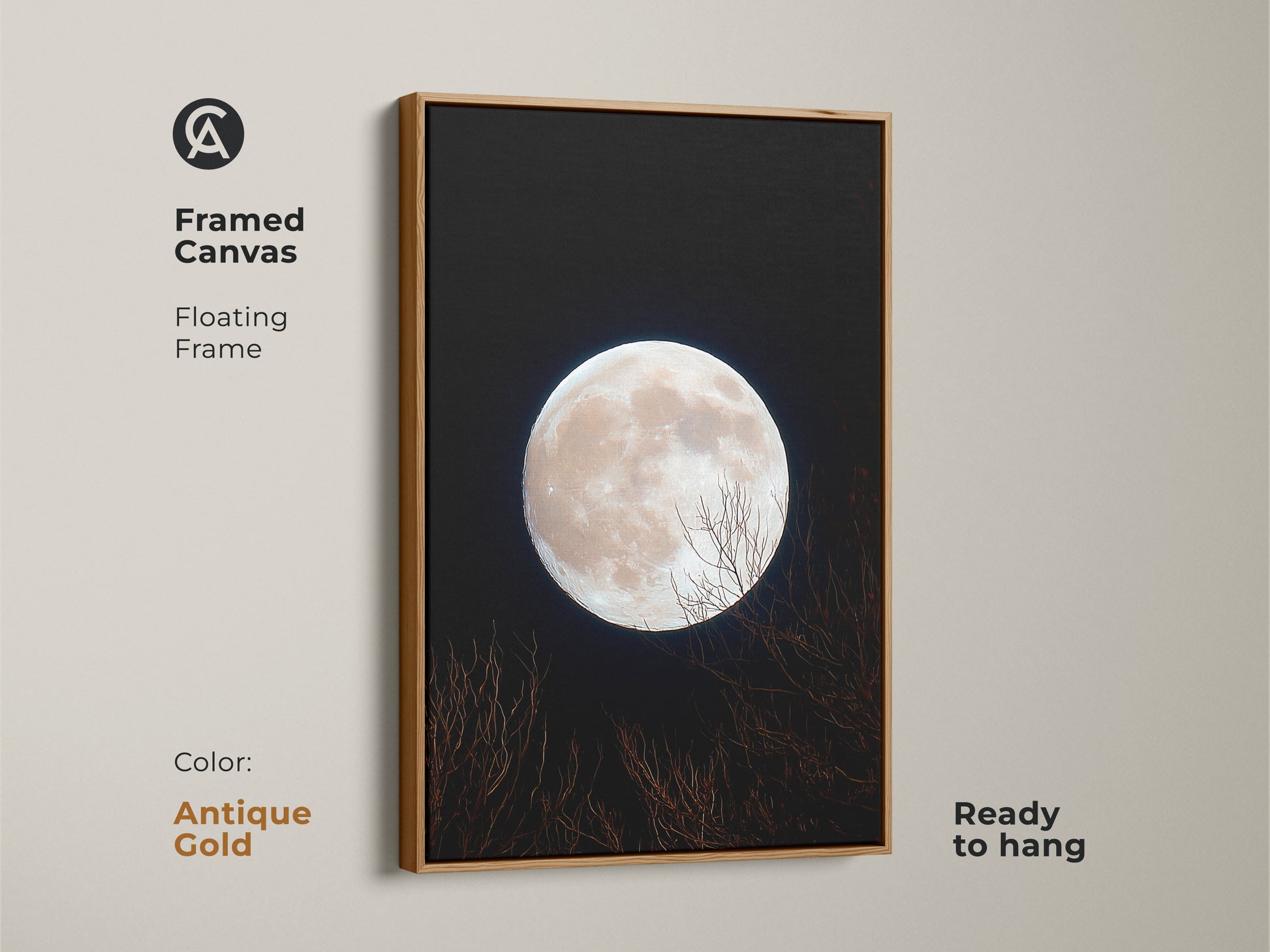 Framed canvas art featuring a full moon. The floating frame is antique gold. This moon art is ready to hang. The bright moon dominates the dark sky. Bare branches create a serene composition.