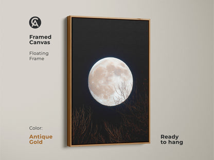 Framed canvas art featuring a full moon. The floating frame is antique gold. This moon art is ready to hang. The bright moon dominates the dark sky. Bare branches create a serene composition.