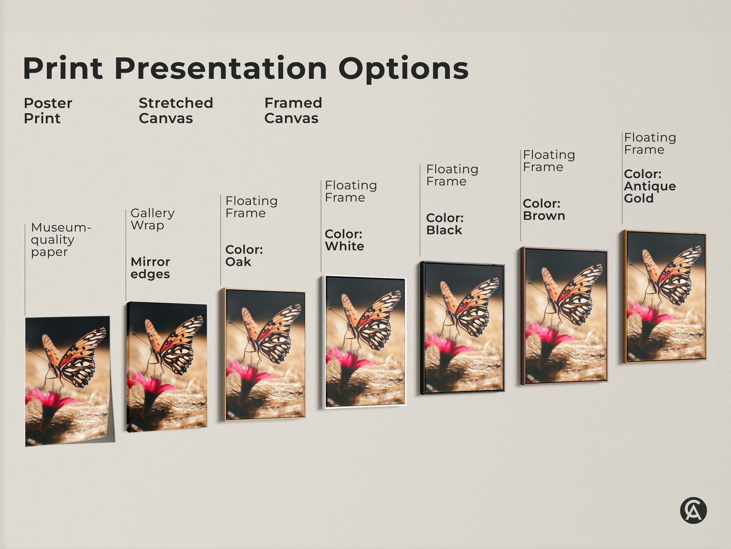 Print presentation options for orange butterfly art. Choose from poster prints stretched canvas or framed canvas. Floating frame options include white black brown and antique gold. Realistic insect artwork to suit any style. Nature photography for your home decor.