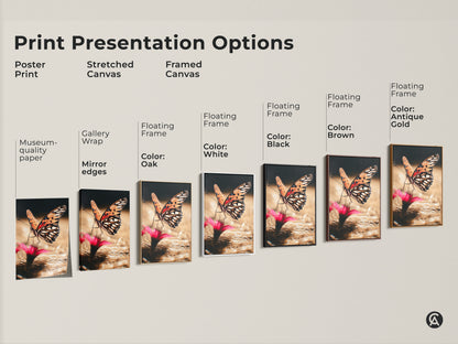 Print presentation options for orange butterfly art. Choose from poster prints stretched canvas or framed canvas. Floating frame options include white black brown and antique gold. Realistic insect artwork to suit any style. Nature photography for your home decor.
