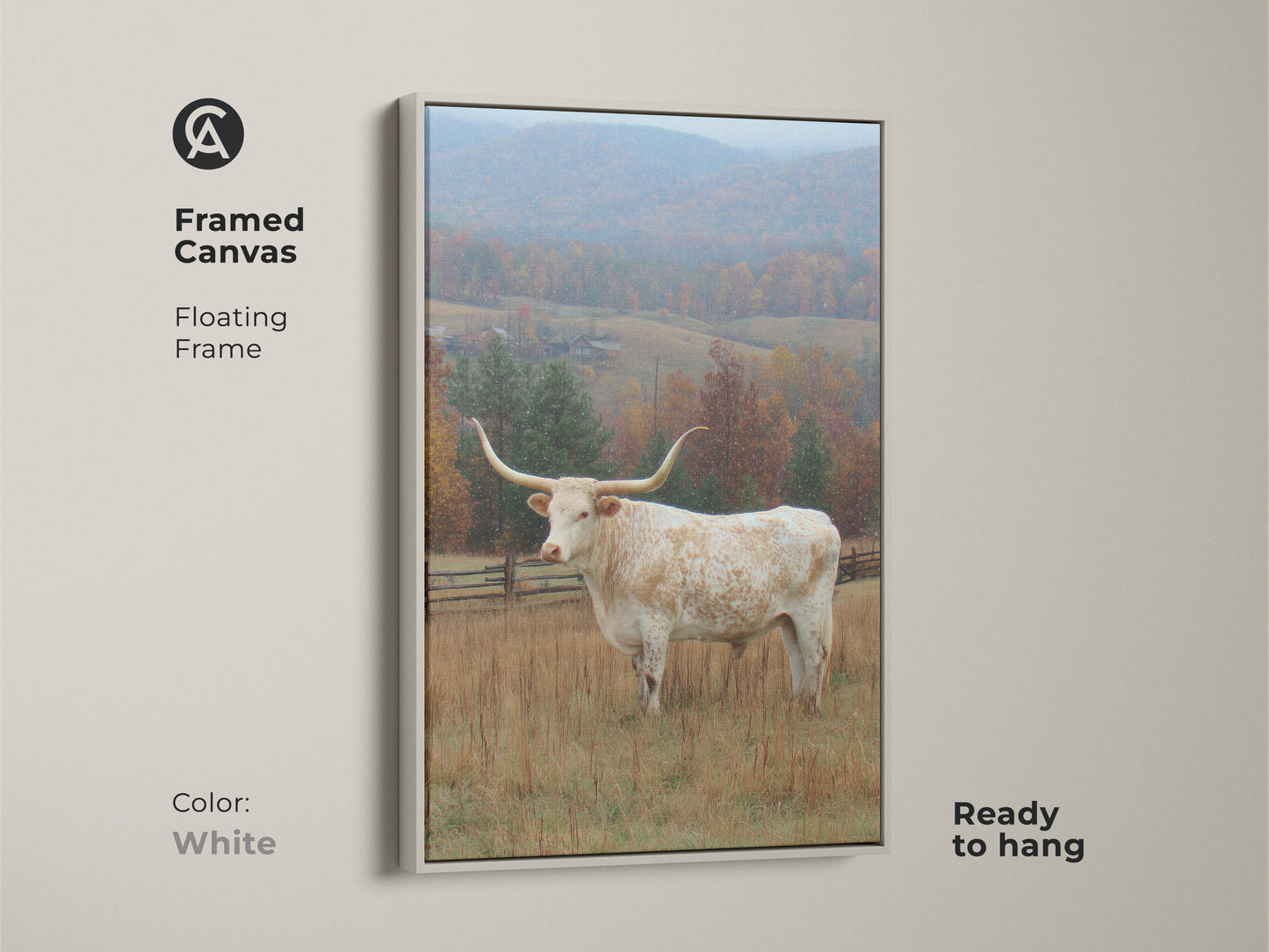 Framed canvas art featuring a Longhorn in a field. The canvas has a floating white frame. Ready to hang and admire. The artwork features a Longhorn with impressive horns set against an autumn backdrop with light snow.
