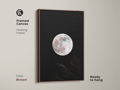 Framed canvas moon art in a brown floating frame. This wall art features a full moon against a black sky. Branches are silhouetted at the bottom. Ready to hang. Find framed moon art for your space today.