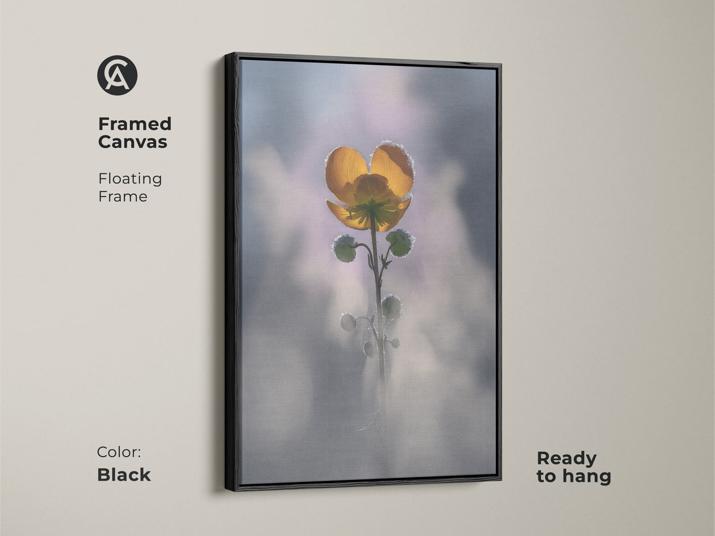 Black framed canvas of a yellow buttercup. Floating frame enhances this macro nature photography. Soft focus botanical wall art is ready to hang. Perfect boho bedroom decor for plant lovers. This delicate floral art is serene.