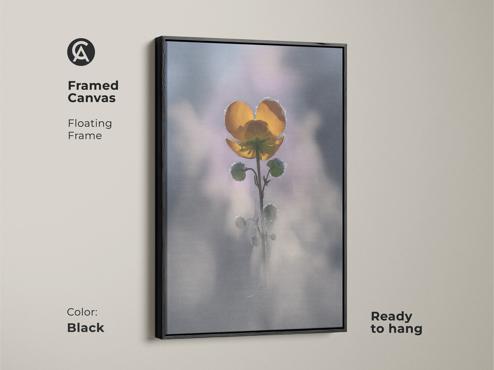 Black framed canvas of a yellow buttercup. Floating frame enhances this macro nature photography. Soft focus botanical wall art is ready to hang. Perfect boho bedroom decor for plant lovers. This delicate floral art is serene.