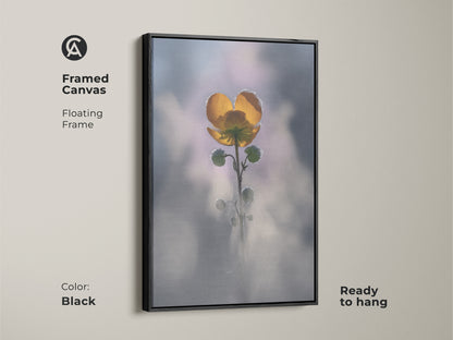 Black framed canvas of a yellow buttercup. Floating frame enhances this macro nature photography. Soft focus botanical wall art is ready to hang. Perfect boho bedroom decor for plant lovers. This delicate floral art is serene.