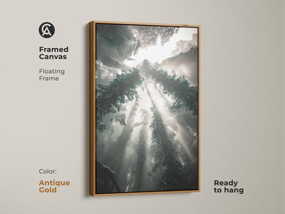This framed canvas in antique gold showcases a misty forest bathed in sunbeams. The teal gray green nature landscape art brings a biophilic vibe to your home. Ready to hang this artwork is perfect for a modern aesthetic.