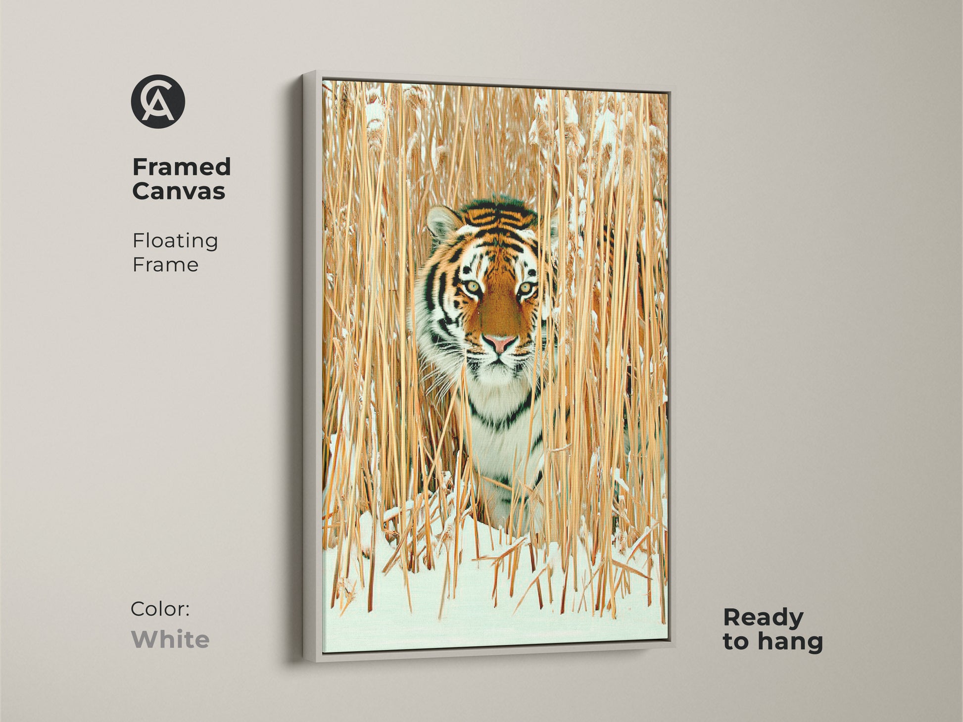 Framed canvas with a white floating frame showcases a tiger in winter reeds. Ready to hang wildlife art creates a serene rustic nature vibe. The realistic tiger print has orange brown gold tones. Ideal for a fresh and cozy home decor art piece.