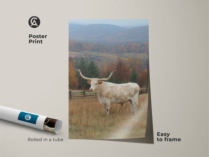 Poster print of a Longhorn in a field. The poster is rolled in a tube. Easy to frame. The artwork shows a white Longhorn with long horns set against a backdrop of fall foliage and a dusting of snow. Great for rustic decor.